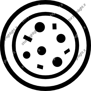 پیتزا